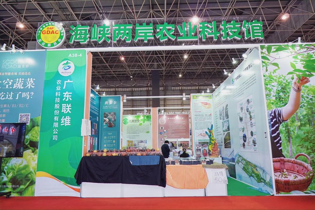 2022第十三届东莞台湾名品博览会 