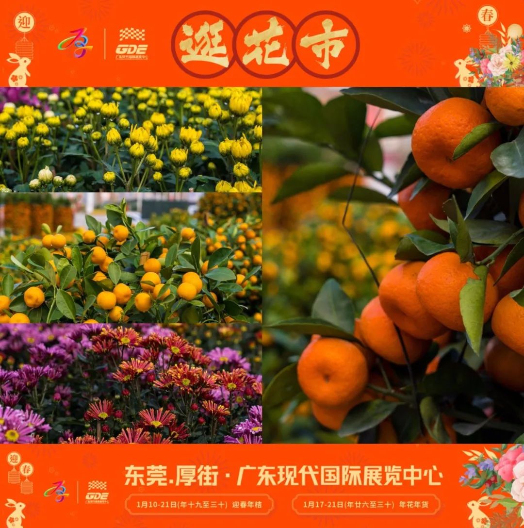 会展君带着攻略来！今年就来广东现代国际展览中心行花街啦！！