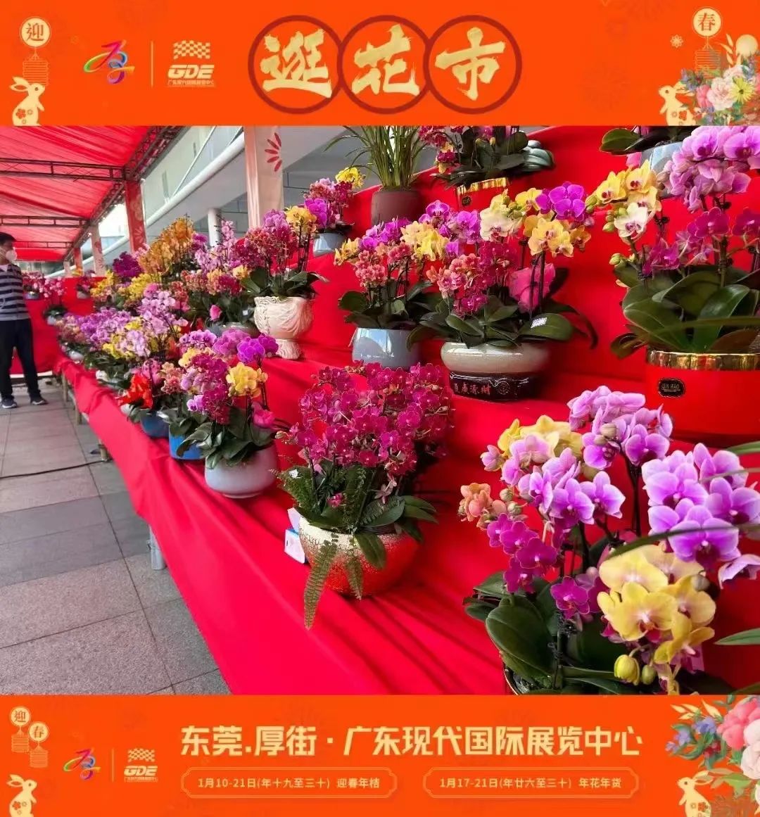 会展君带着攻略来！今年就来广东现代国际展览中心行花街啦！！